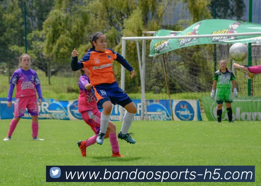 半岛体育平台生态图