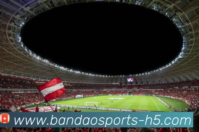 半岛体育APP 封面图